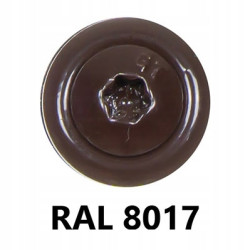 Wkręt farmerski TORX 4,8x35mm RAL8017 250 szt