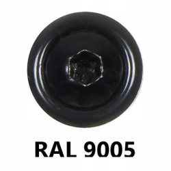 Wkręt farmerski TORX 4,8x35mm RAL9005 250 szt